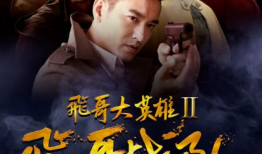 飞哥大英雄电视剧,传奇英雄的传奇征程