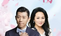 爱情情感电视剧大全集,爱情情感电视剧大全集精彩回顾