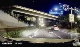 佛山吃瓜最新事件爆料视频,最新爆料视频揭秘惊人内幕